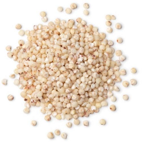 Natural White Sorghum Millets