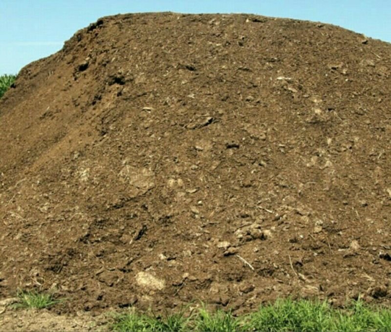 Brown Poultry Manure