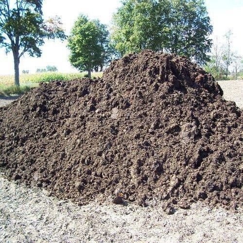 Raw Poultry Manure