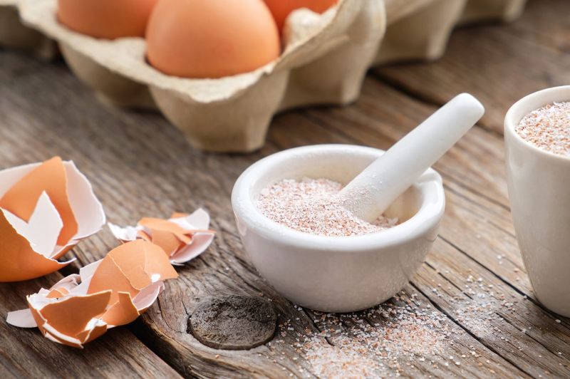 Brown Eggshell Powder
