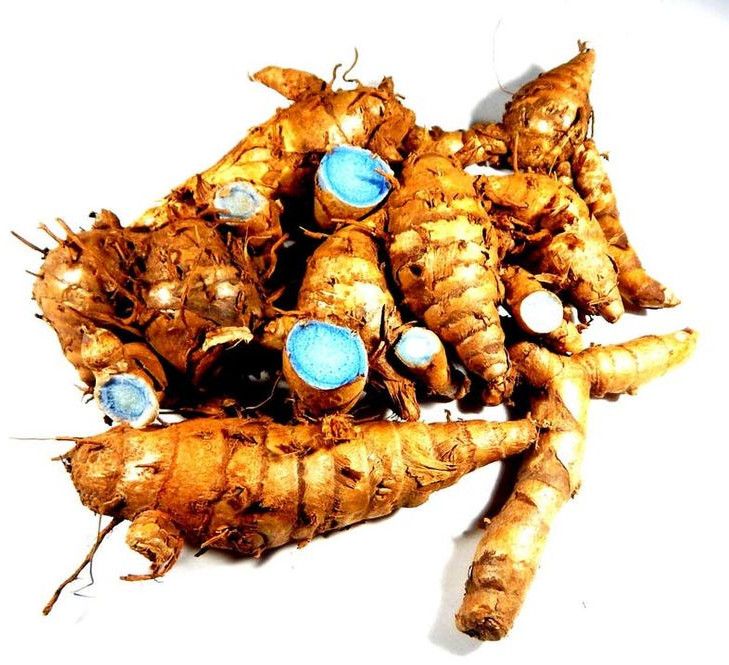 Black Turmeric