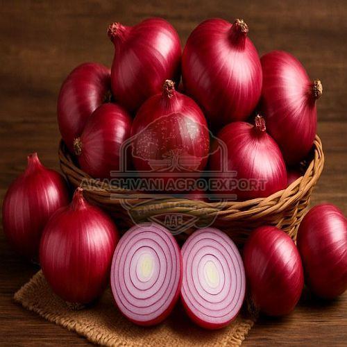 Fresh Nashik Red Onion