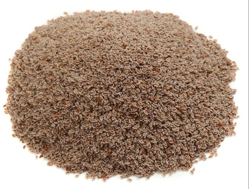 Psyllium Husk Seeds