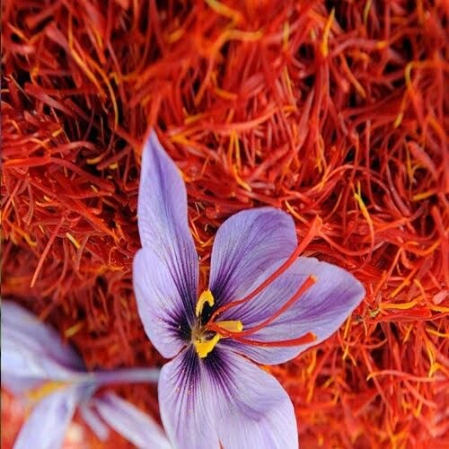 Organic Kashmiri Saffron