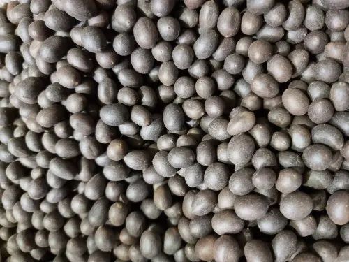 Kamal Gatta Seeds