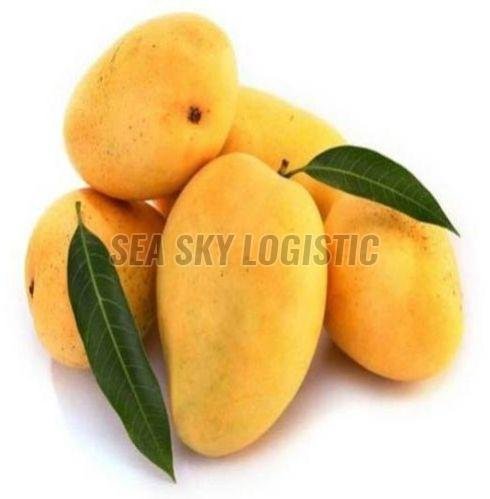 Fresh Mango