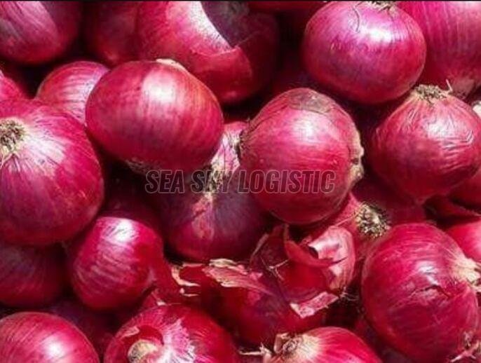 fresh onions