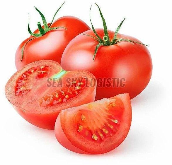 Hybrid Fresh Tomato