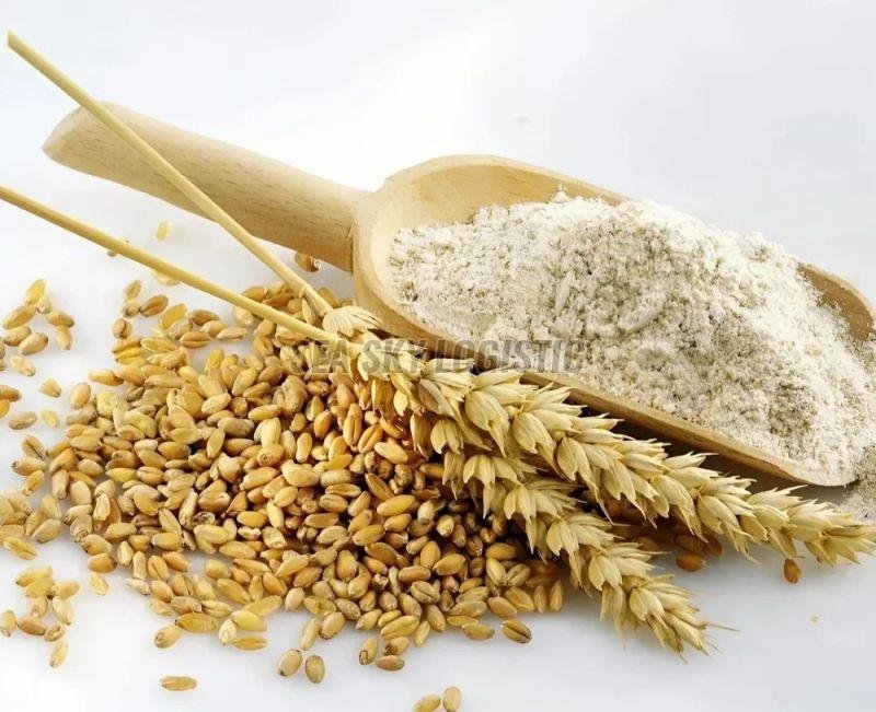 Wheat Flour