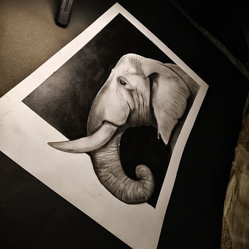 Paper Charcoal Elephant Painting