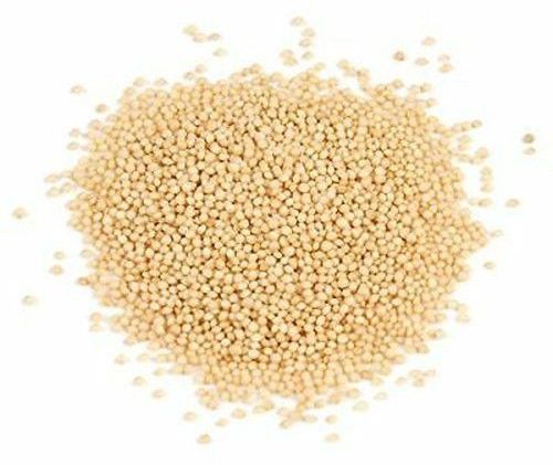 Amaranth Grain