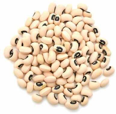 Cowpea Seed
