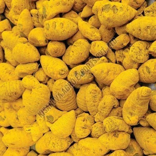 Dried Turmeric Bulb