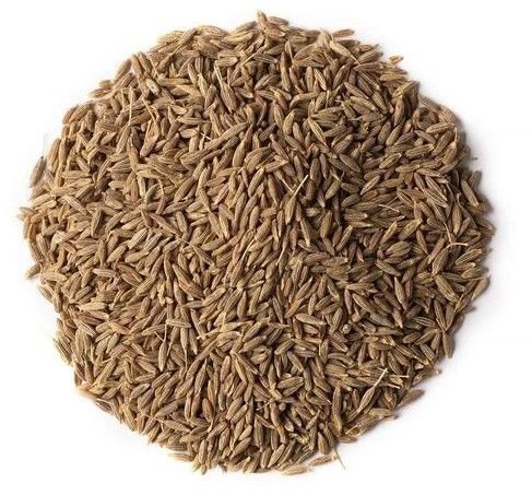 Cumin Seeds