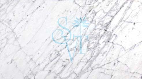 Imported Carrara Granite Slab