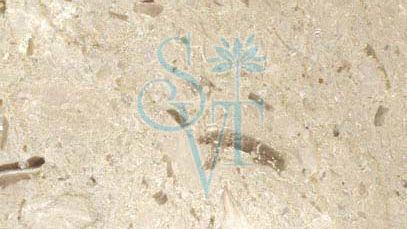 Imported Perlato Sicilia Granite Slab