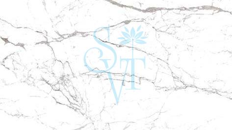 Imported Statuario Granite Slab