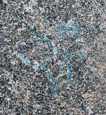 Imported Tan Brown Brushed Granite Slab