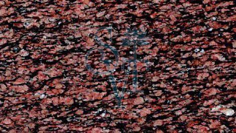 Indian Asian Top Granite Slab