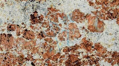 Indian Bahama Ivory Granite Slab