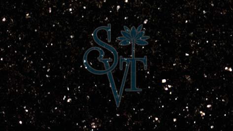 Indian Bengal Black Granite Slab