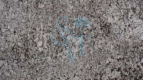 Indian Bianco Antico Granite Slab