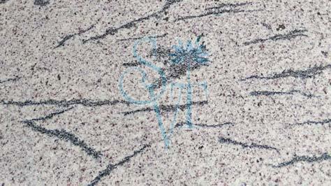 Indian French White Granite Slab