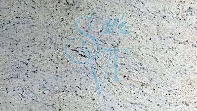 Indian Imperial White Granite Slab