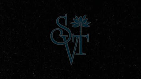 Indian Jet Black Granite Slab