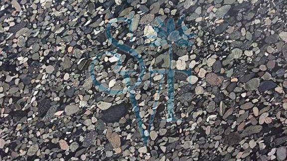 Indian Marinace Black Granite Slab
