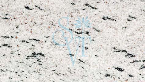 Indian Mayflower White Granite Slab