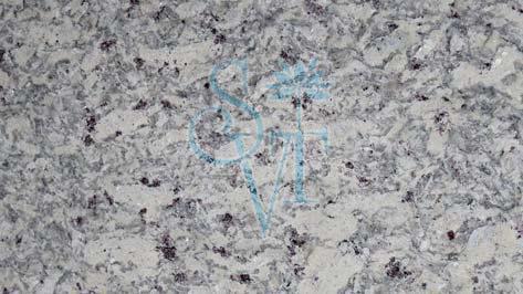 Indian Moon White Granite Slab