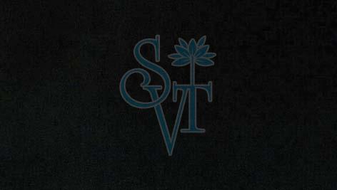 Indian Pearl Black Granite Slab