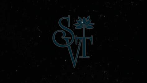 Indian Premium Black Granite Slab