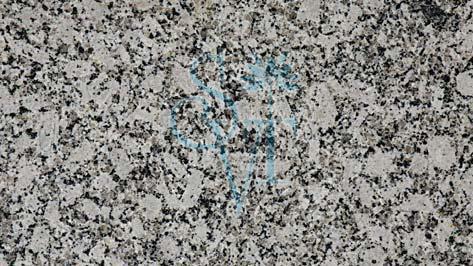Indian Premium White Granite Slab