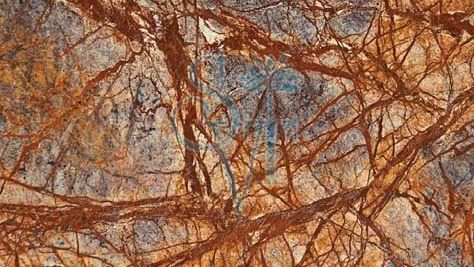 Indian Rainforest Brown Granite Slab