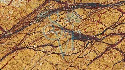 Indian Rainforest Gold Granite Slab