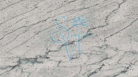 Indian River White Granite Slab