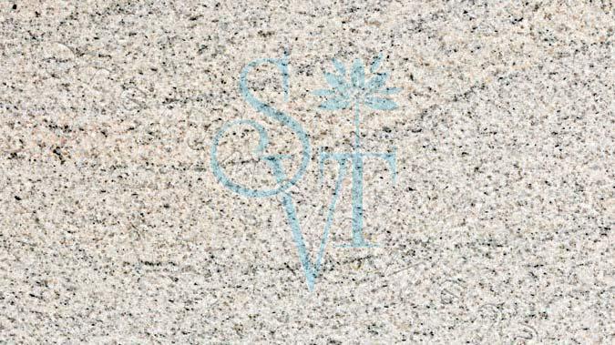 Indian Viscon White Granite Slab