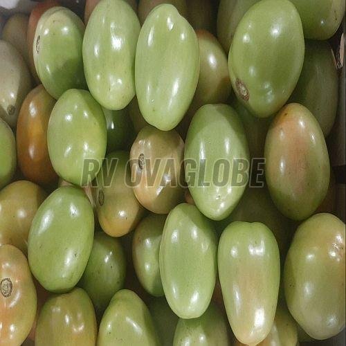 A Grade Fresh Green Tomato