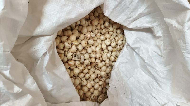 6 Suta Phool Makhana