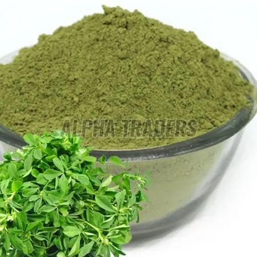 Dehydrated Fenugreek Leaves Powder