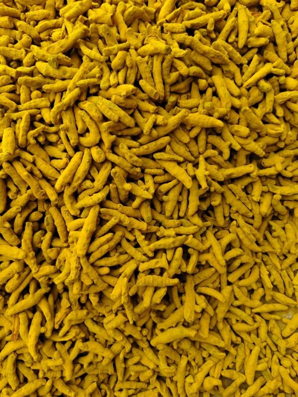 Double Polished Selam Turmeric Finger