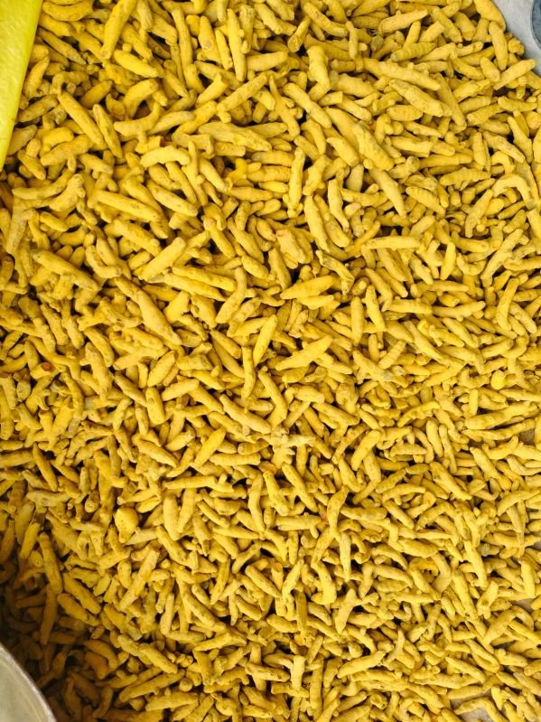 Double Polished Turmeric