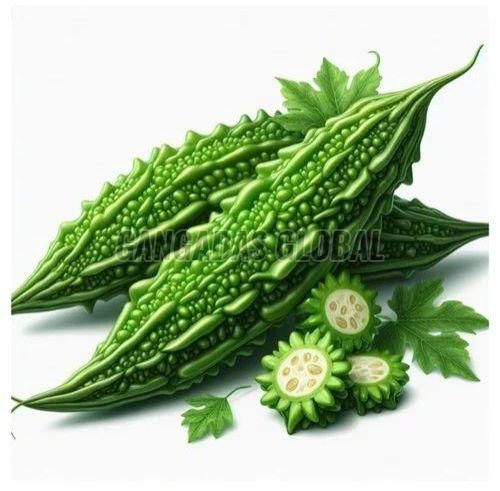 Fresh Bitter Gourd