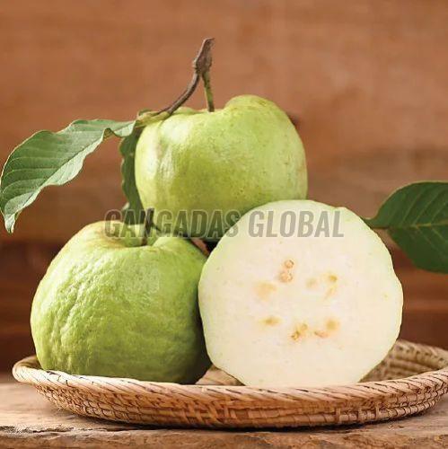 Fresh Green Guava