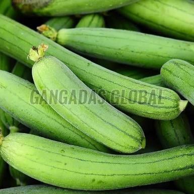 Fresh Sponge Gourd