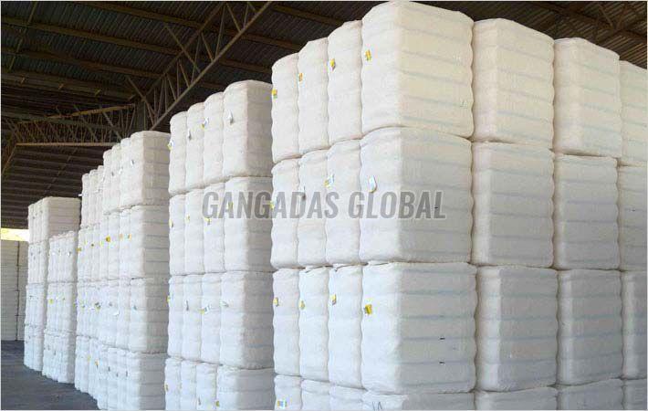 Plain Cotton Bale