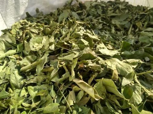 Dry Curry Leaves