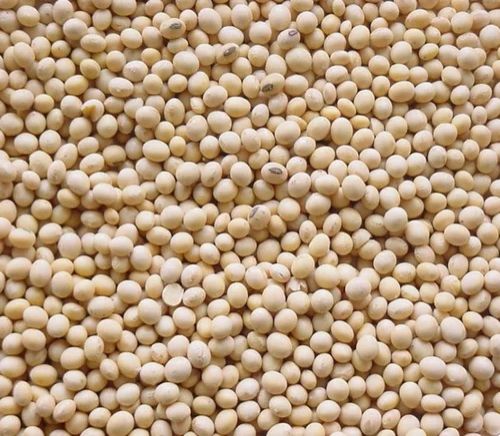 Raw Soybean